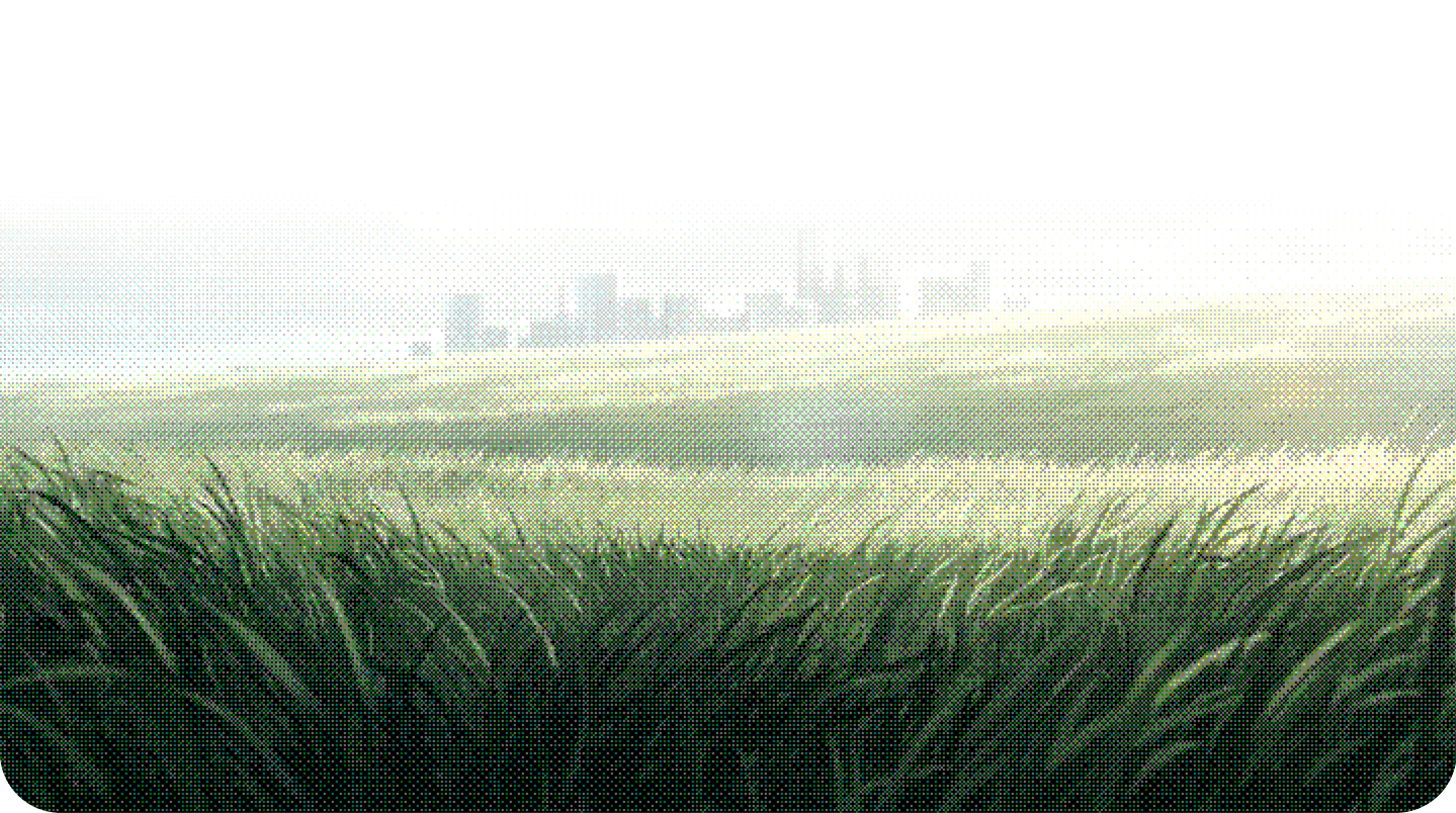 Open field at sunrise