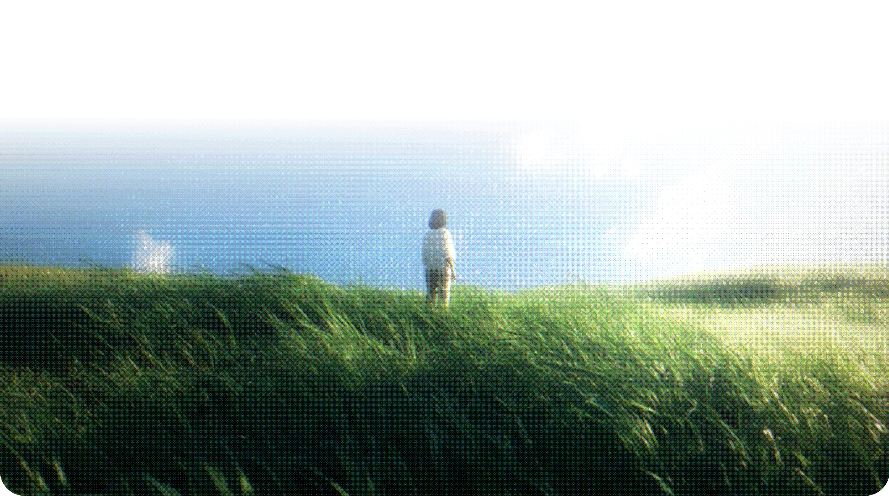 Person standing in a field of tall grass